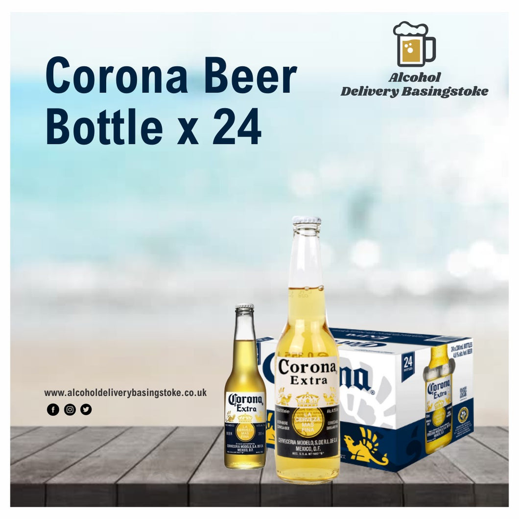 Corona Beer Bottle x 24