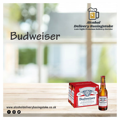 Budweiser x 24 bottles 300ml